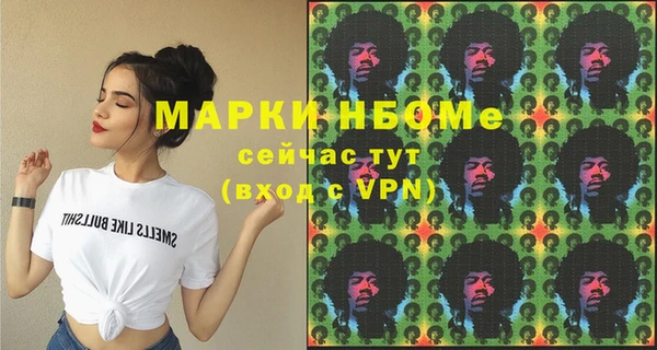 прущие грибы Переславль-Залесский