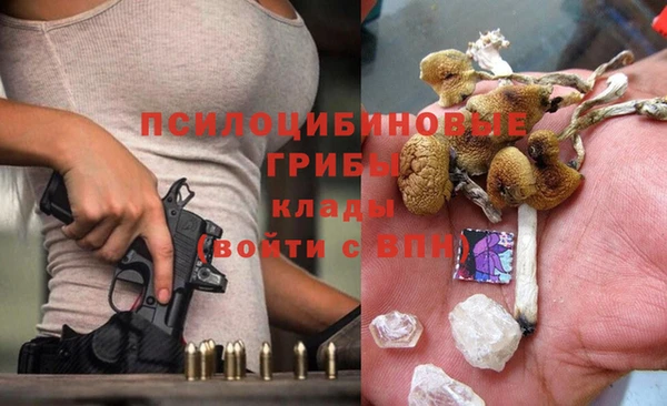 прущая мука Пересвет