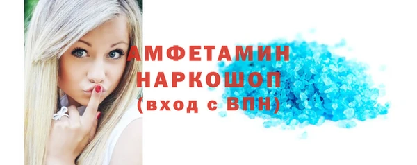 прущие грибы Переславль-Залесский