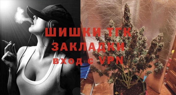 прущие грибы Переславль-Залесский