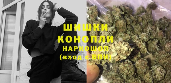 прущие грибы Переславль-Залесский