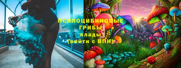 прущая мука Пересвет