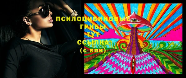 соль ск Ветлуга
