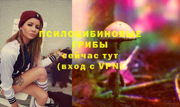 прущие грибы Переславль-Залесский