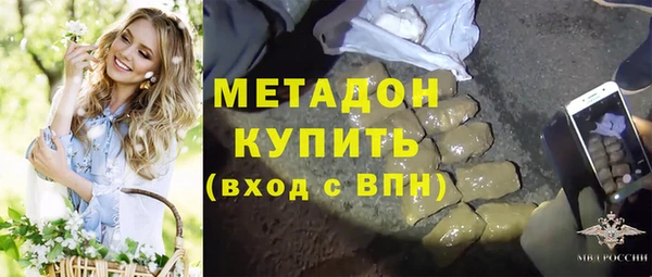 прущие грибы Переславль-Залесский