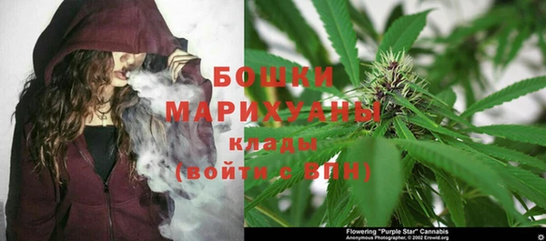 прущая мука Пересвет