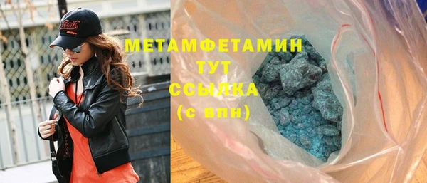 прущие грибы Переславль-Залесский