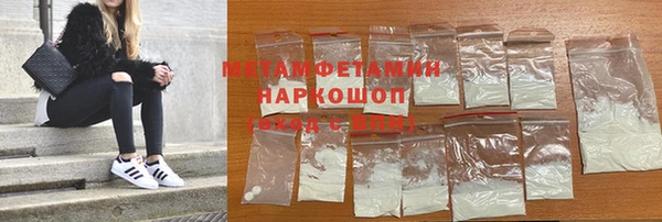 прущие грибы Переславль-Залесский