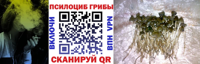 Галлюциногенные грибы мухоморы Прохладный